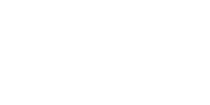 Logo partner 33